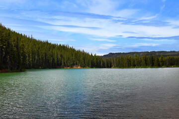Forested Devils Lake