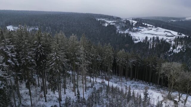Winter Drone Flight Over Snowy Pine Forest in Thuringian Mountains, Germany, 4K