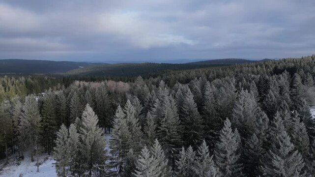 Winter Drone Flight Over Snowy Pine Forest in Thuringian Mountains, Germany, 4K