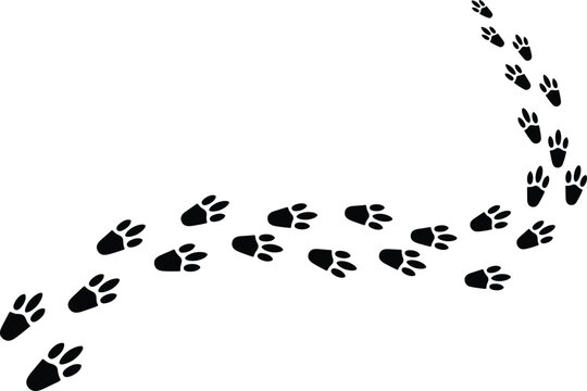 Black animal paw prints path trail following a curved line silhouette vector illustration isolated on a white background