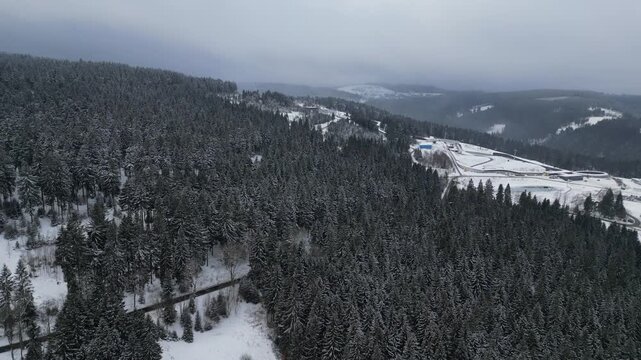 Winter Drone Flight Over Snowy Pine Forest in Thuringian Mountains, Germany, 4K