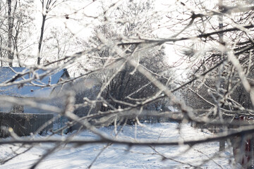 snow covered trees. winter landscape in the village. snow covered branches