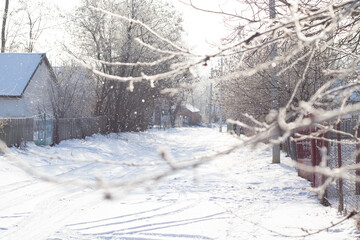 snow covered trees. winter landscape in the village. snow covered branches