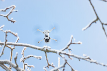 snow covered branches. snow covered branches of a tree. snow covered branches. frost on a tree branch. drone against the sky among the hoarfrost-covered stakes in the winter forest