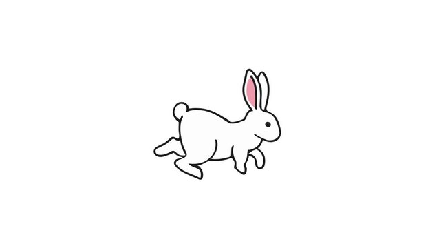 Rabbit Illustration Animation Video