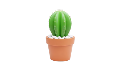 Cute Green Cactus in a Terracotta Pot