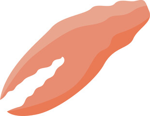 Fototapeta premium Single cooked crab claw isolated on white background, ready to be served as part of a seafood dish