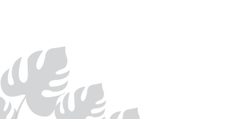 Monstera leaf shadow overlay on white background. Soft blurred shadow of monstera leaves cast on a white background, perfect for natural overlays, modern layouts, and subtle design accents. eps10

