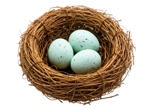 Bird nest with three blue speckled eggs isolated on transparent background - Powered by Adobe