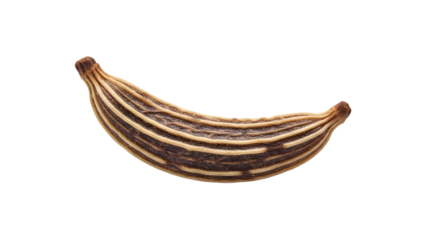 Ancient viking age gold spiral arm ring jewelry