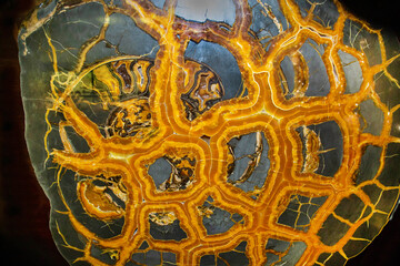 Sawn-off of a centarium nodule with yellow veins on a dark background. Gems, mineralogy, jewelry.