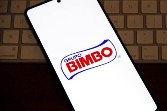 Bimbo - Bra&ccedil;o brasileiro do Grupo Bimbo - Empresa de panifica&ccedil;&atilde;o. 