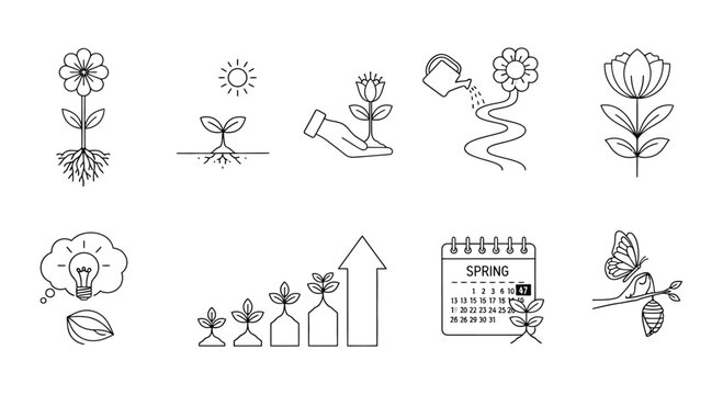Illustrations of spring and growth Vector