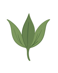 Green Leaf Illustration.