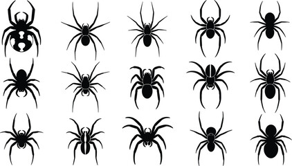 Black spider silhouette set with tarantula, widow, and arachnid species, spooky insect elements isolated on white background for halloween design vector