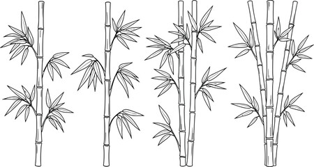 Obraz premium Set of black bamboo silhouettes with detailed leaves and stalks in three different arrangements for Asian inspired nature graphic design. (20 words)