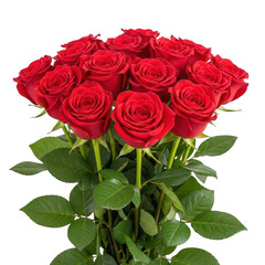 Obraz premium Vibrant bouquet of red roses isolated on transparent background