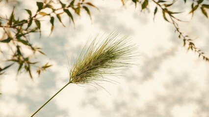 Close-up of a green grass seed head against a blurred background. Nature and plant life, botanical, growth. The focus on grass seed head.