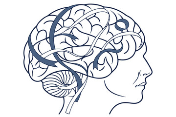 Conceptual human brain formed from flowing ribbon shapes, organic but mathematically balanced curves
