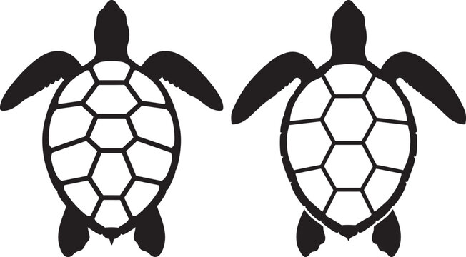 Sea turtle silhouettes with shell patterns, marine reptile icons isolated on white background.