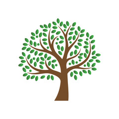 Fototapeta premium Stylized Green Leaf Flat Tree Icon