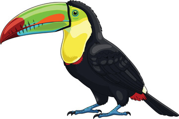 Obraz premium Colorful toucan bird illustration with large beak, tropical wildlife animal cartoon isolated on white background