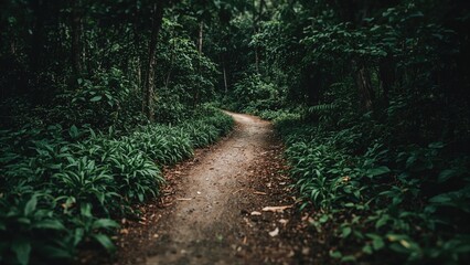 A forest trail in dense greenery with tall trees and lush plants on both sides. Nature, woodland, path, outdoors. The scene depicts a quiet and natural setting.