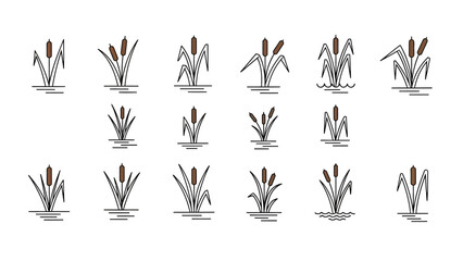 Hand-drawn vector illustration set of cattails and reeds in water, featuring stylized marsh plants for wetland nature designs and botanical clip art