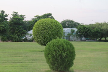 Beautiful view of the park in Lotus temple in New Delhi , capital of the india