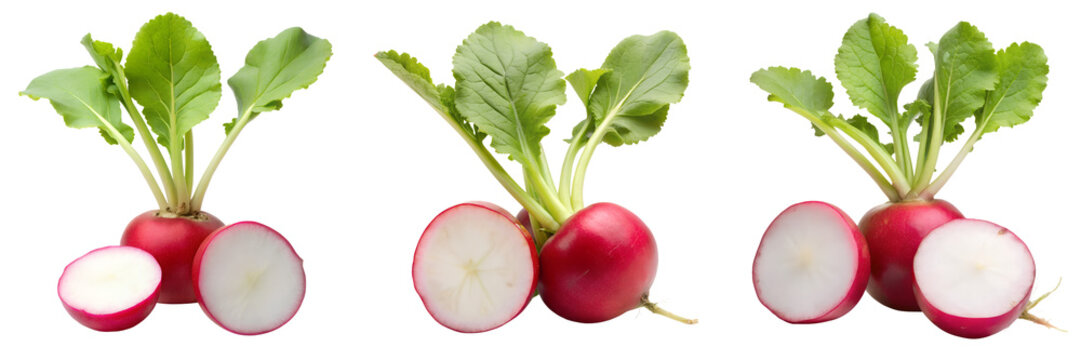 Set of A radish with cut out isolated on a transparent background