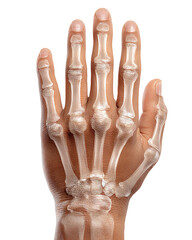 Element Isolated Transparent