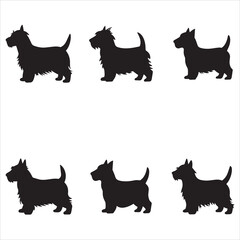 Silky Terrier Dogs Svg Clip Art