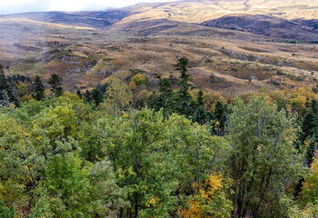 a green forest area in a mountainous area is the transition of nature to an autumn state