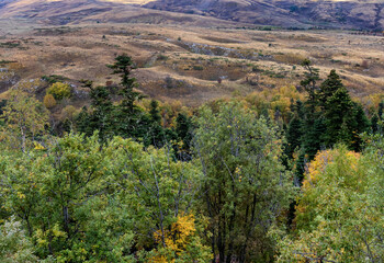 a green forest area in a mountainous area is the transition of nature to an autumn state