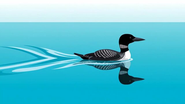Elegant Loon Gliding On Serene Blue Water Surface With Ripples Animation Video