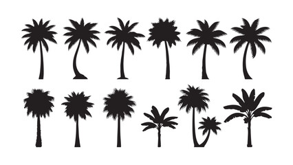 Palm tree silhouette set featuring black tropical palm symbols with lush foliage. Relaxed exotic vacation mood. Nature icons for logos, websites, travel brochures, and pattern design. Vector illustrat