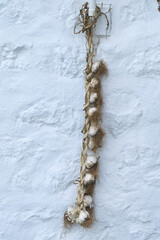 Braided string of garlic hanging against a white textured wall in Patmos, Greece. The dried bulbs,...