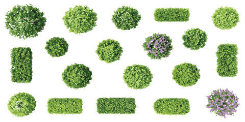 A collection of isolated top view green bushes and rectangular hedges for landscape design. © vector Designer