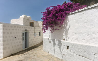   
Sunlit alleyway in Patmos, Greece, lined with whitewashed buildings and paved with stone. A vibrant bougainvillea with bright purple flowers cascades over a wall,