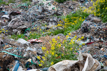 shredded and pressed recyclable plastic waste that has been burned and causes environmental pollution.