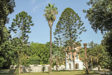 Fototapeta premium Sunny park in Italy with palm and pine trees, green lawn, and historic villa building in the background. Serene landscape ideal for travel, relaxation, and nature backgrounds.