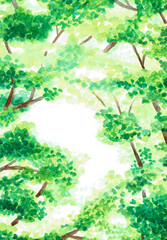 手描きの水彩イラスト　木漏れ日　背景	
