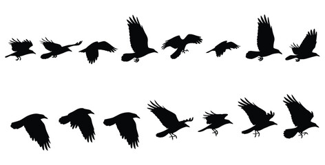 Silhouette animation sequence showcasing various stages of a majestic black raven bird flapping its wings while in continuous midair flight motion © Mst Zakia
