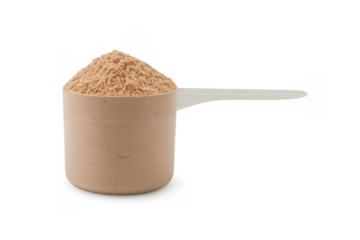 Protein powder scoop with chocolate flavor isolated