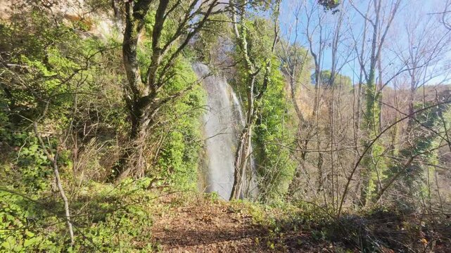 A tranquil scene of the Fuentetoba waterfall nestled within a dense winter forest, where the clear waters of the Golmayo River create a peaceful and relaxing atmosphere in this Soria landscape.