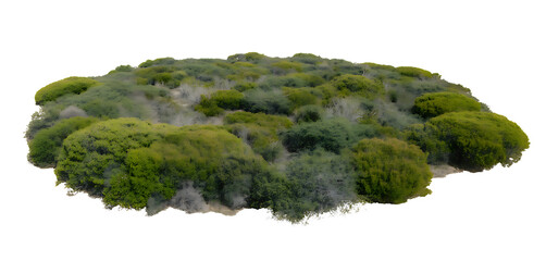 Lush green island with mossy rocks isolated on transparent background