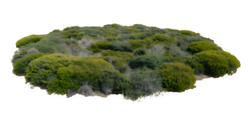 Lush green island with mossy rocks isolated on transparent background