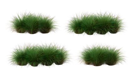 Collection of potted grass plants isolated on transparent background