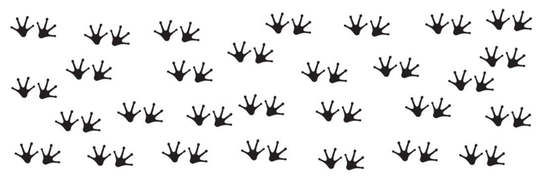 Frog Footprints Vector Set &ndash; Black Silhouette Amphibian Paw Prints and Wildlife Track Icons 
Isolated on White