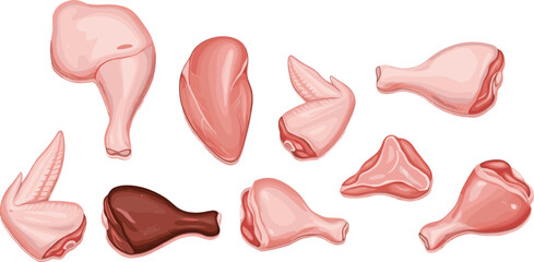 Set of Raw Chicken Meat Cuts Illustration, Fresh Poultry Parts Collection Vector for Butcher, Food Packaging, Cooking Design